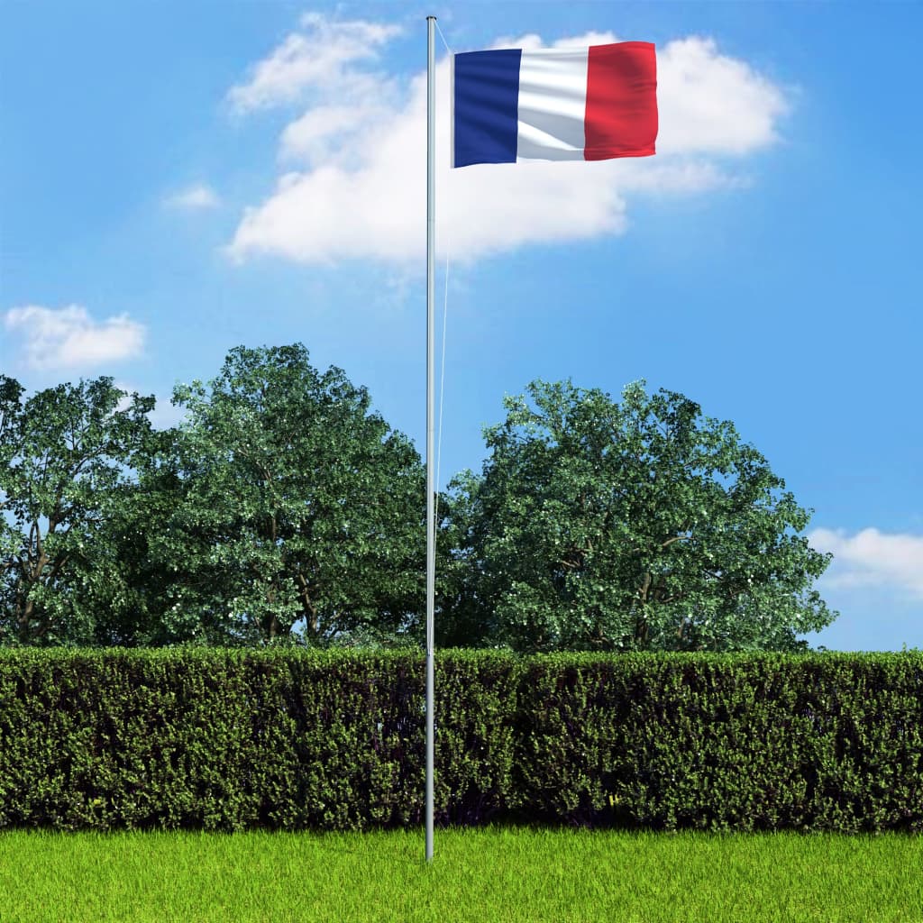 vidaXL Drapeau français...