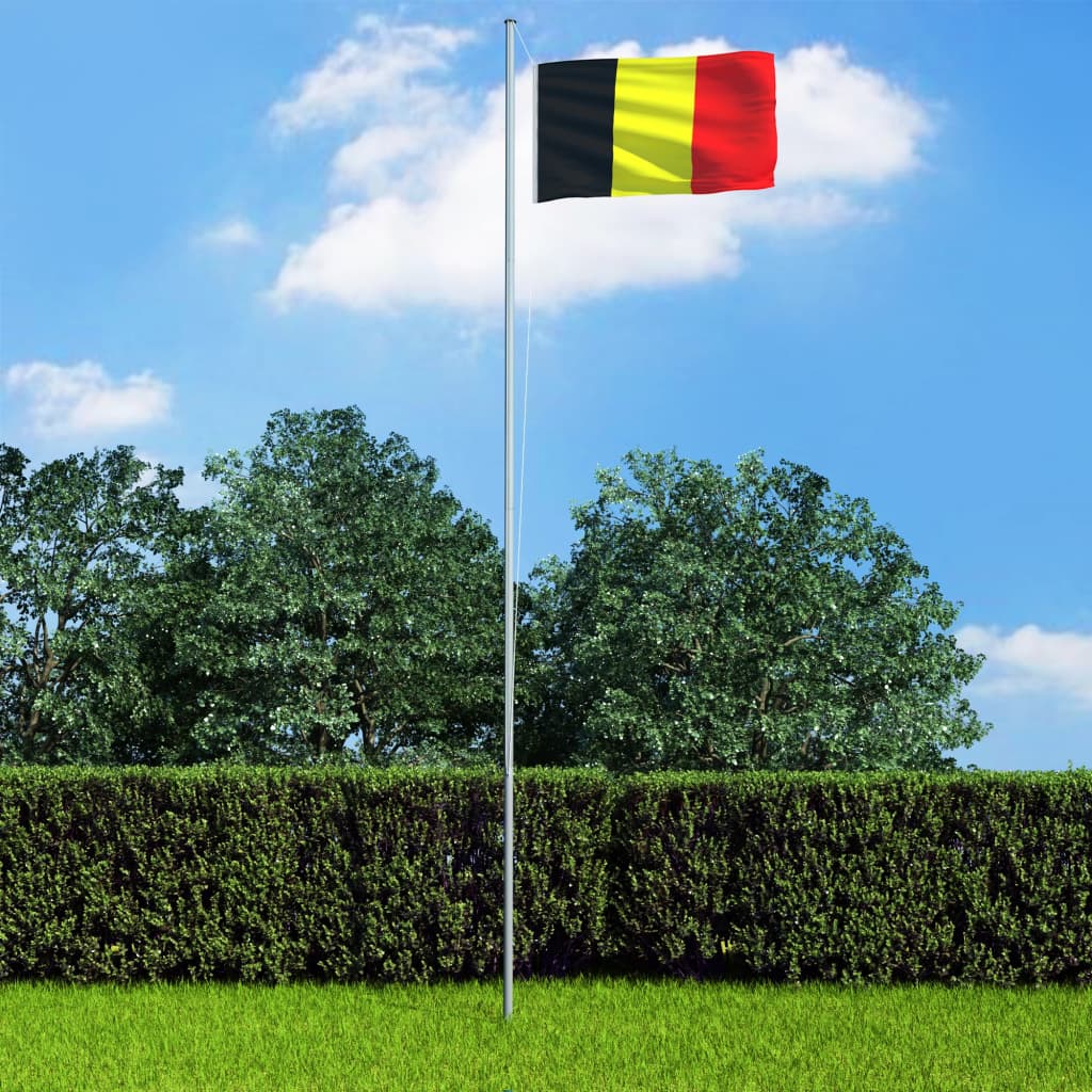 vidaXL Drapeau Belgique...