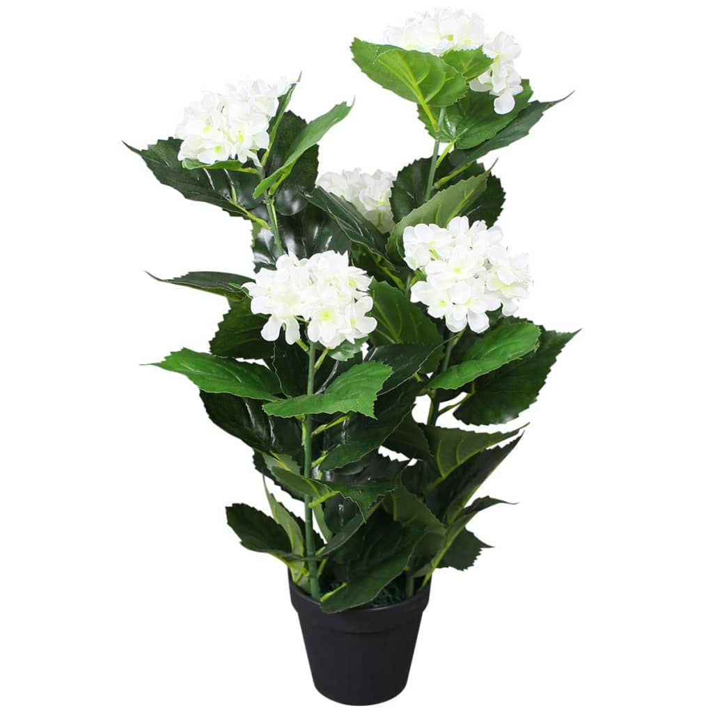 vidaXL Plante hortensia...